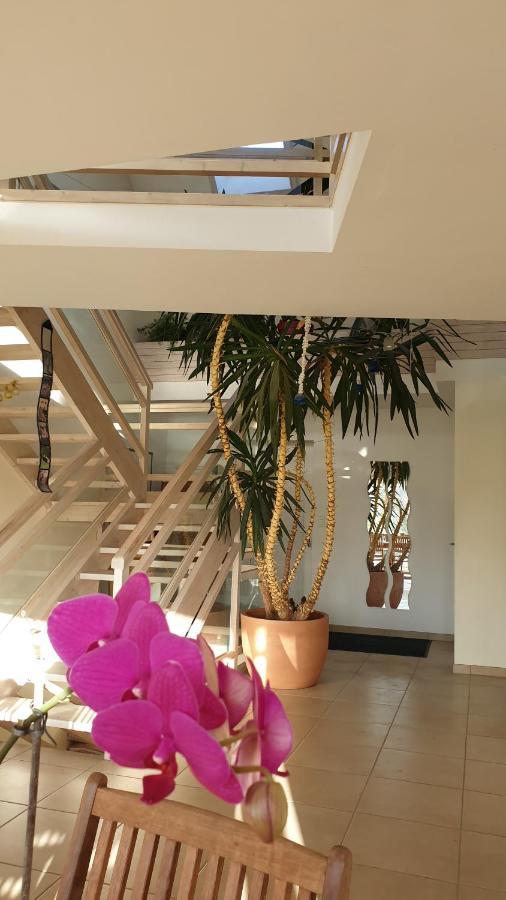 Grande Maison Avec Spa Proche De Caen Et De La Mer Brouay Kültér fotó